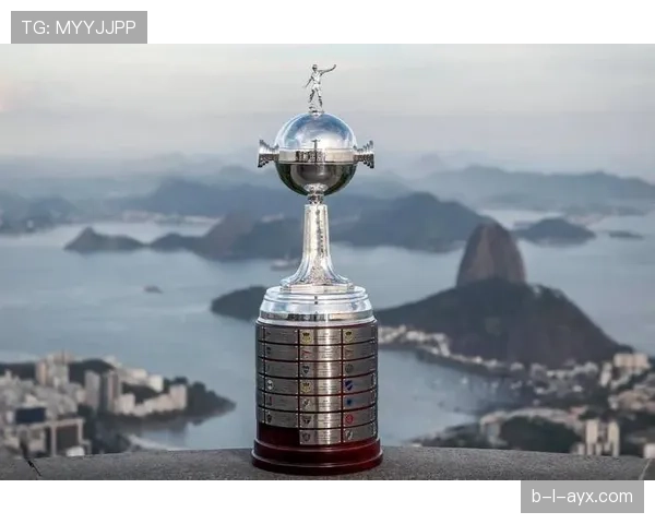 南美杯赛事发展历程与最新动态